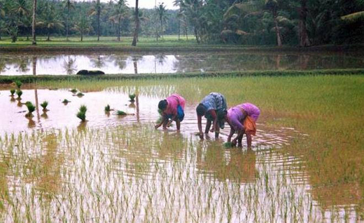 Udupi sees
